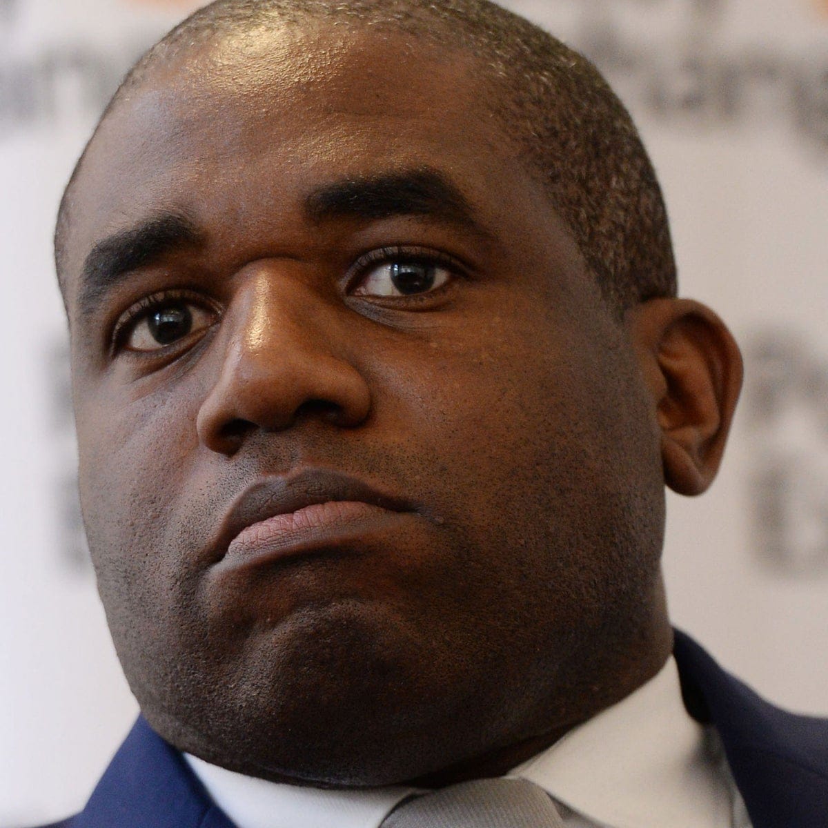 David Lammy MP